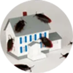 Pest Control Agency in Ahmedabad