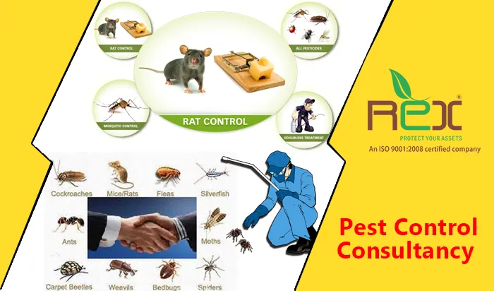 Pest Control Consultancy India
