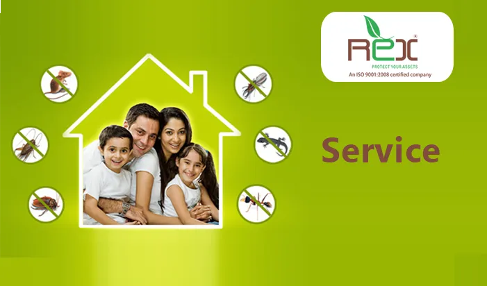 Pest Services in Ahmedabad