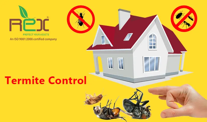 Termite Control in India