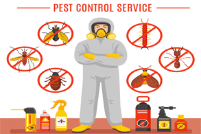 pest control service in surat